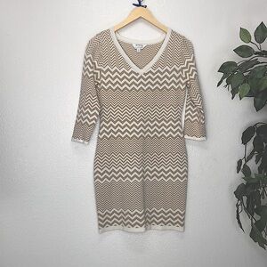 Charming Charlie Sweater Dress